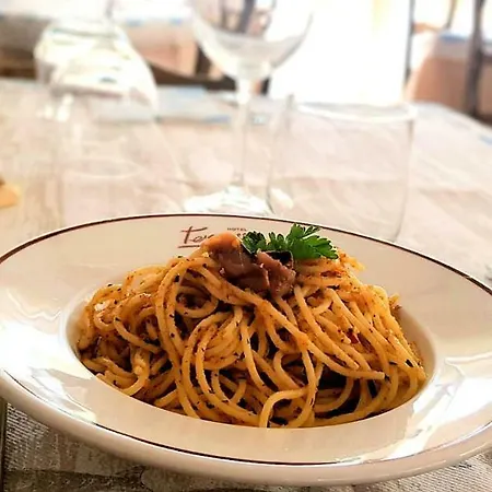 Szálloda Terrasse Cesenatico